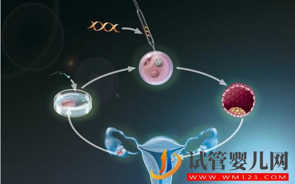 南通試管嬰兒適合那些人做？(圖3)
