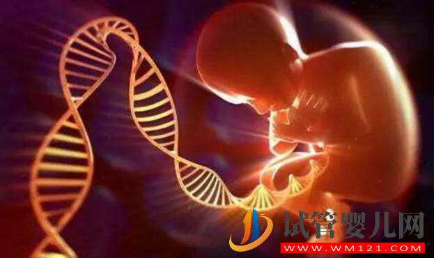 不能生育你會選擇做試管嬰兒還是領養孩子呢？(圖2)