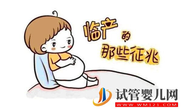 做完試管嬰兒后怎么判斷是否懷孕？(圖1)