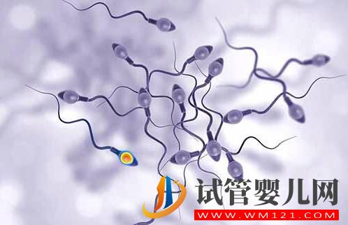 做完試管嬰兒后怎么判斷是否懷孕？(圖3)