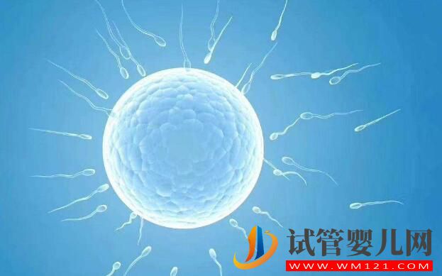 試管促排進(jìn)口和國(guó)產(chǎn)藥療效一樣選擇哪一種？(圖3)