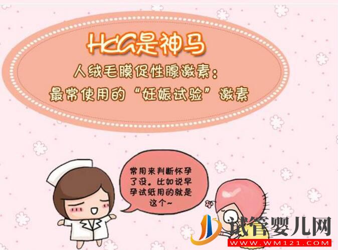 HCG對準媽媽有哪些作用？(圖2)