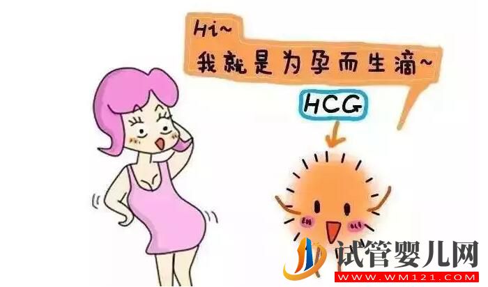 HCG對準媽媽有哪些作用？(圖1)