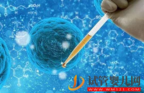 哪些因素影響試管嬰兒移植的成功？(圖1)