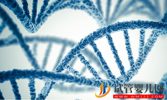 和田試管嬰兒基因篩查技術(shù)有什么作用？(圖3)