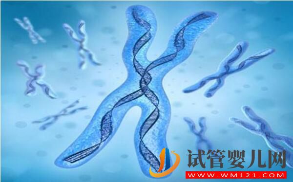 染色體異常做試管嬰兒搞不定?(圖1) 染色體異常做試管嬰兒搞不定?(圖1)