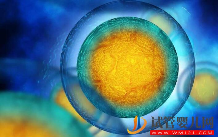 試管嬰兒一般移植幾個胚胎？醫生：不超過3個(圖3)