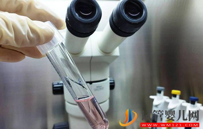 試管嬰兒不能生孩子這個(gè)說(shuō)法是真還是假？(圖1)