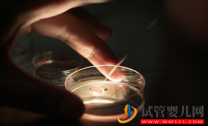 試管嬰兒不能生孩子這個(gè)說(shuō)法是真還是假？(圖3)