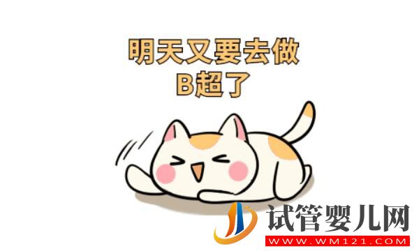 試管嬰兒月經期要做b超嗎？(圖3)