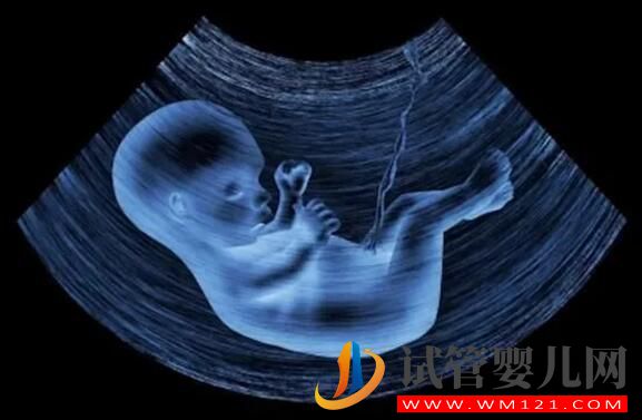試管嬰兒月經期要做b超嗎？(圖4)