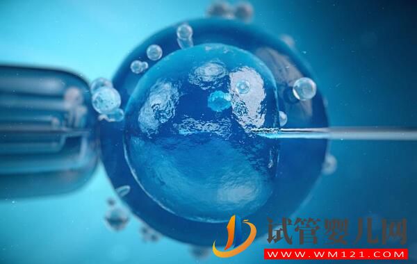 做了試管嬰兒后還能自然懷上嗎?(圖1) 做了試管嬰兒后還能自然懷上嗎?(圖1)