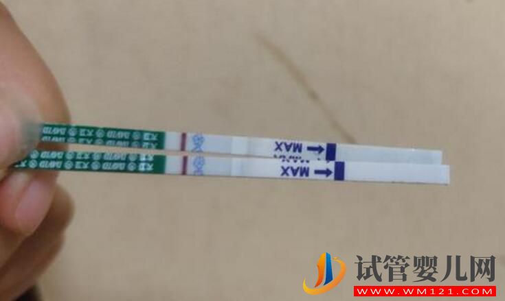 做了試管嬰兒后還能自然懷上嗎?(圖3) 做了試管嬰兒后還能自然懷上嗎?(圖3)