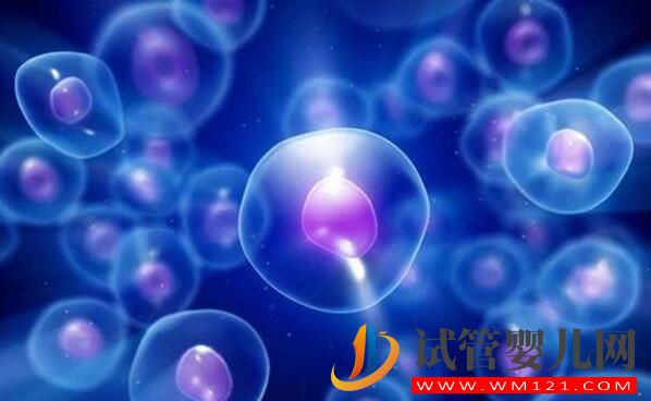 試管嬰兒客戶問答匯總(圖1) 試管嬰兒客戶問答匯總(圖1)