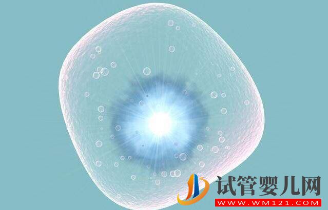 做試管嬰兒整個(gè)環(huán)節(jié)有哪些？(圖4)