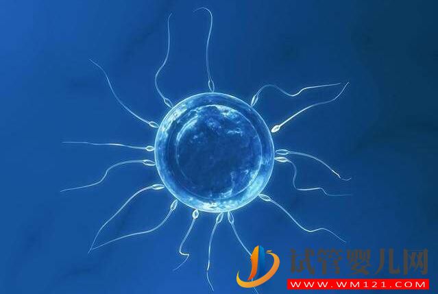 做試管嬰兒整個(gè)環(huán)節(jié)有哪些？(圖5)