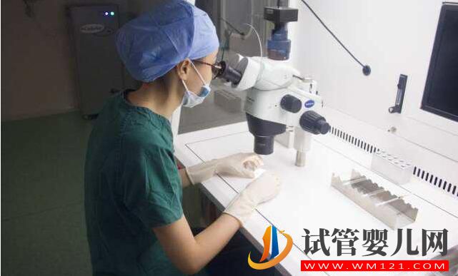做試管嬰兒周期取多少卵子比較合適(圖3) 做試管嬰兒周期取多少卵子比較合適(圖3)