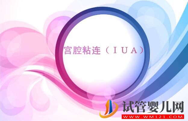 宮內粘連會影響到試管嬰兒嗎？(圖2)