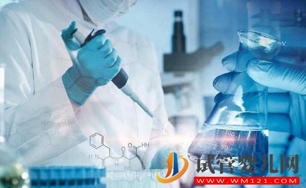 宮內粘連會影響到試管嬰兒嗎？(圖3)