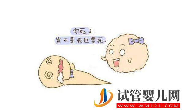 試管中精卵不結(jié)合該怎么解決?精卵結(jié)合后為什么不著床?(圖1) 試管中精卵不結(jié)合該怎么解決?精卵結(jié)合后為什么不著床?(圖1)