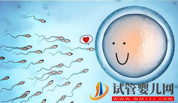試管中精卵不結(jié)合該怎么解決?精卵結(jié)合后為什么不著床?(圖2) 試管中精卵不結(jié)合該怎么解決?精卵結(jié)合后為什么不著床?(圖2)