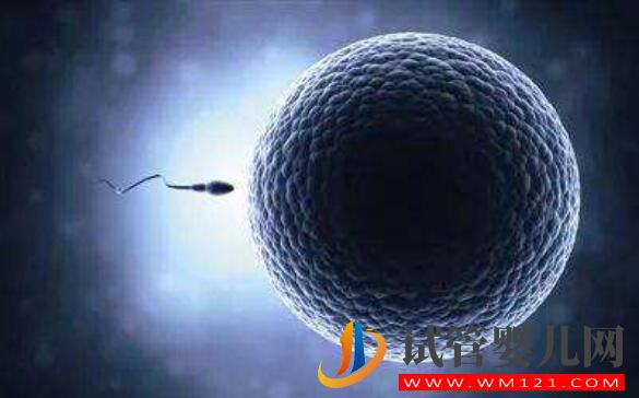 試管中精卵不結(jié)合該怎么解決?精卵結(jié)合后為什么不著床?(圖3) 試管中精卵不結(jié)合該怎么解決?精卵結(jié)合后為什么不著床?(圖3)