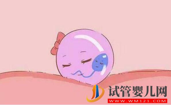 試管嬰兒卵泡要具備哪些條件才行？(圖5)