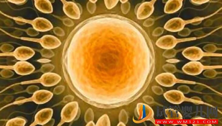 做試管嬰兒后身體出現這些癥狀正常嗎？(圖4)