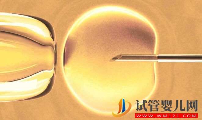 試管嬰兒IVF和人工授精IUI有什么區(qū)別和不同(圖1) 試管嬰兒IVF和人工授精IUI有什么區(qū)別和不同(圖1)