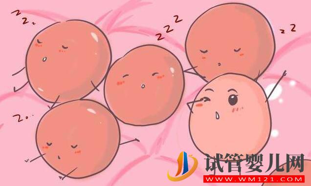 試管嬰兒會導致卵巢早衰嗎?卵巢早衰是由什么導致的?(圖3) 試管嬰兒會導致卵巢早衰嗎?卵巢早衰是由什么導致的?(圖3)