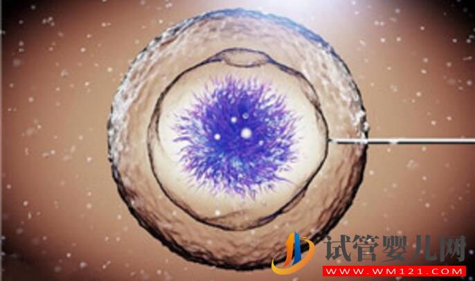 試管嬰兒會導致卵巢早衰嗎?卵巢早衰是由什么導致的?(圖5) 試管嬰兒會導致卵巢早衰嗎?卵巢早衰是由什么導致的?(圖5)