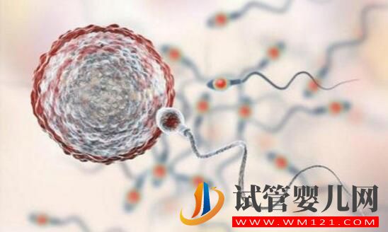 解答做試管嬰兒的人非常擔心的幾個問題(圖1)