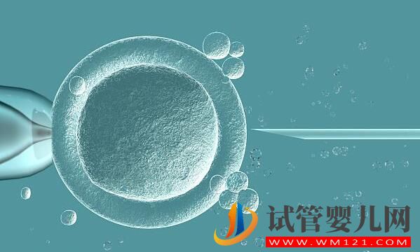 解答做試管嬰兒的人非常擔心的幾個問題(圖3)