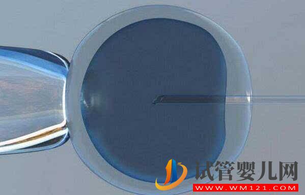 解答做試管嬰兒的人非常擔心的幾個問題(圖5)