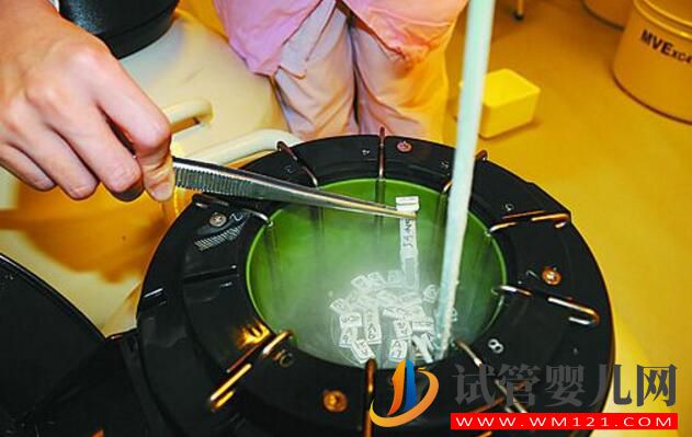 試管嬰兒常見錯誤認知大集合 你對了嗎(圖4)