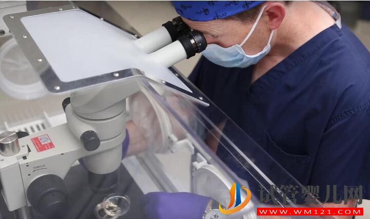 試管嬰兒常見錯誤認知大集合 你對了嗎(圖3)