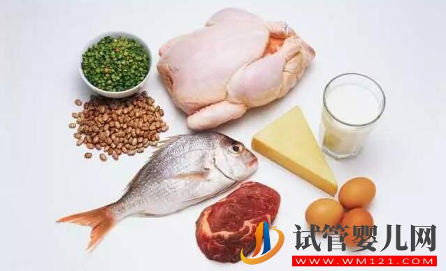 做試管嬰兒為什么補充蛋白質很重要?(圖1) 做試管嬰兒為什么補充蛋白質很重要?(圖1)