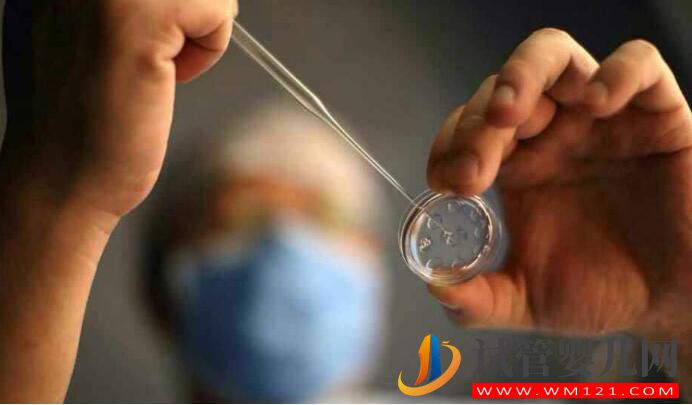 試管嬰兒應不應該做？什么情況下去做？要如何選擇(圖1)