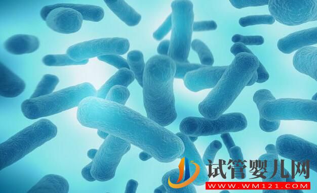 試管嬰兒應不應該做？什么情況下去做？要如何選擇(圖2)