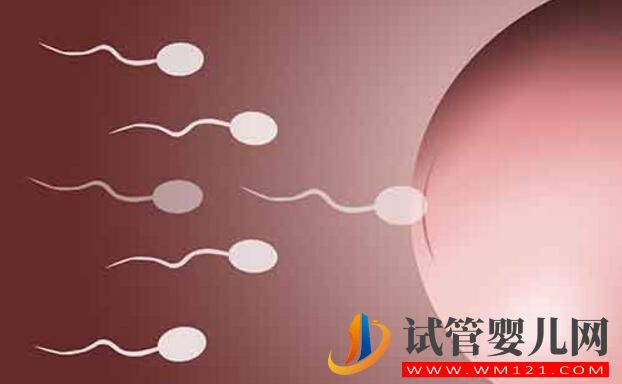 試管嬰兒應不應該做？什么情況下去做？要如何選擇(圖5)