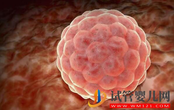 試管嬰兒胚胎移植的窗口期如何通過指標去判斷(圖3)