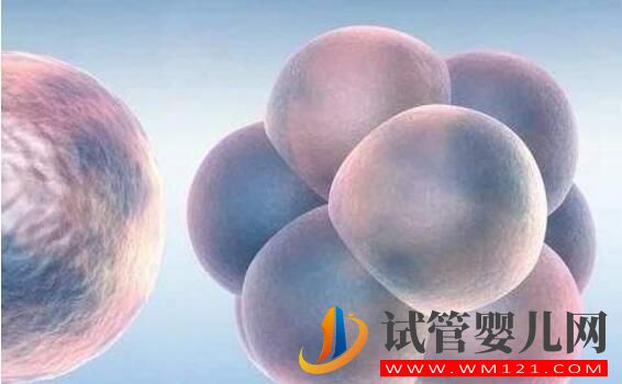 俄羅斯試管嬰兒攻略 看看有哪些你不知道的(圖3)