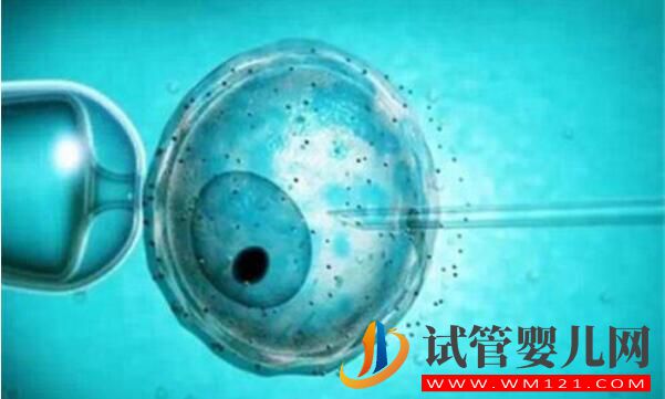 俄羅斯試管嬰兒攻略 看看有哪些你不知道的(圖5)