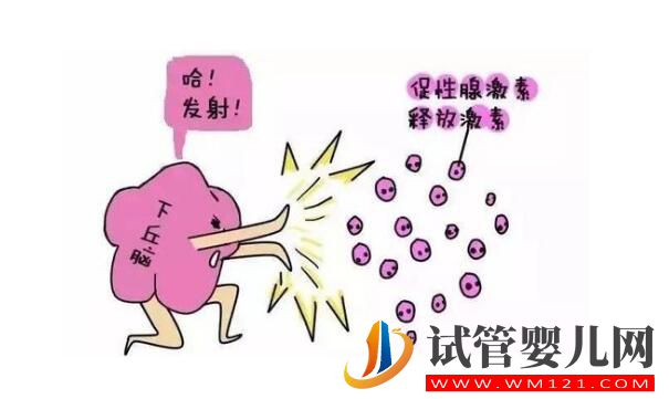 試管嬰兒有多少個方案？如何選擇促排卵方案？(圖1)