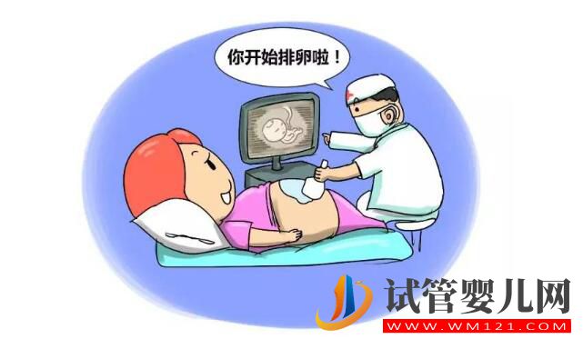 試管嬰兒有多少個方案？如何選擇促排卵方案？(圖3)