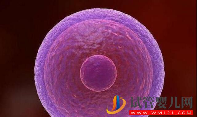 試管嬰兒中凍胚和鮮胚有什么不同？不選鮮胚的原因(圖2)