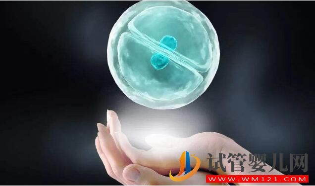 試管嬰兒中凍胚和鮮胚有什么不同？不選鮮胚的原因(圖1)