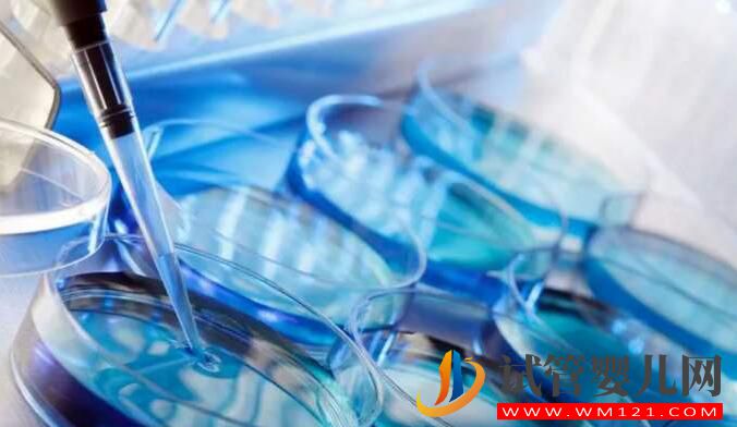 做試管嬰兒如何輕松度過移植后的驗(yàn)孕等待期?(圖1) 做試管嬰兒如何輕松度過移植后的驗(yàn)孕等待期?(圖1)