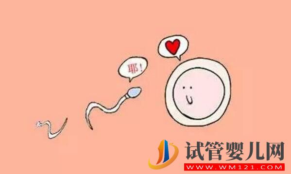 高齡生育你需要知道關(guān)于影響卵泡質(zhì)量的因素(圖2)