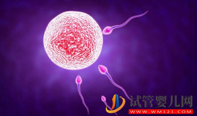 高齡生育你需要知道關(guān)于影響卵泡質(zhì)量的因素(圖1)